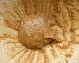 くるみ味噌の焼きおにぎり作り方2写真