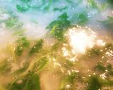 七草がゆ作り方3写真