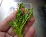 最速の七草粥作り方4写真