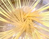 焼き鯖とごぼうの漁師風トマトソースパスタ作り方7写真