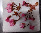 桜の型抜き簡単ランチ作り方3写真