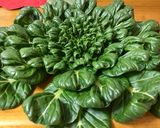 ターサイと牛モモのゴマ油炒め作り方1写真