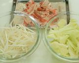 鶏がら簡単。豚バラ肉の豆乳ちゃんぽん☆彡作り方2写真