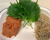 無塩梅干し〜ご飯の友作り方2写真