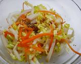 簡単！減塩☆白菜のゆず胡椒浅漬け作り方1写真