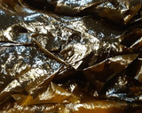 春一番の味！早採りワカメのお浸し作り方1写真