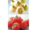 春野菜のテリーヌサラダ作り方1写真