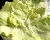 大根おろしでサッパリ！鶏ハラミのレタポン作り方2写真