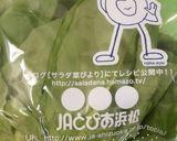 恵方巻き サラダ菜巻き作り方1写真