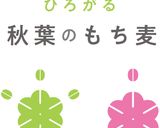もち麦ハンバーグ～秋葉区～作り方8写真