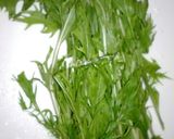 初の水菜の漬け物☆レンジで簡単☆作り方1写真
