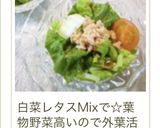 エコ☆葉物野菜の外葉のサラダ作り方7写真