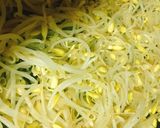 ガツと豆もやし作り方3写真