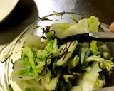 電子レンジで白菜の瞬間浅漬け作り方4写真