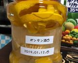 チャレンジ！ボンタン酒！作り方10写真