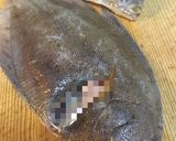 骨も食べられそうでやっぱ無理かれい唐揚げ作り方1写真