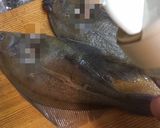 骨も食べられそうでやっぱ無理かれい唐揚げ作り方8写真