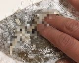 骨も食べられそうでやっぱ無理かれい唐揚げ作り方10写真