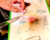 簡単☆鱈ちり作り方8写真
