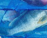 白身魚 アオハタの甘酢野菜あんかけ作り方3写真