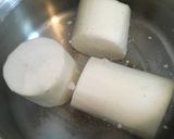 そびえ立つ大根作り方4写真