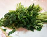 豆苗の塩昆布和え 3分で出来る簡単副菜♪作り方2写真