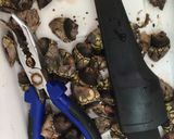 亀の手の味噌汁作り方1写真