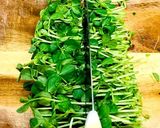 豆苗の茹で方作り方1写真