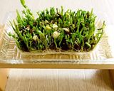 豆苗の茹で方作り方4写真