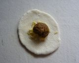 スタミナ★。・*カレーパン作り方3写真