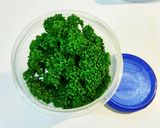 【朝食】時短簡単！ミルクリゾット作り方6写真