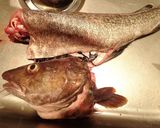 タラ鍋作り方4写真