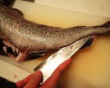 タラ鍋作り方7写真