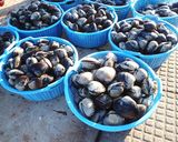 ホッキ貝のネギ味噌和え作り方1写真