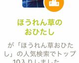 ほうれん草のおひたし作り方4写真