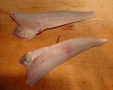 カナガシラの刺身作り方7写真