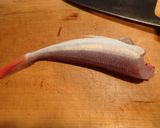 カナガシラの刺身作り方6写真