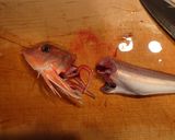 カナガシラの刺身作り方5写真