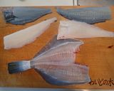 イシガレイの刺身作り方6写真