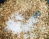 手作りデュカ作り方10写真