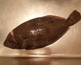 ヒラメの刺身作り方1写真