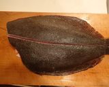 ヒラメの刺身作り方4写真