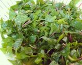 めんつゆで簡単！カラルーのおひたし作り方1写真