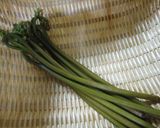 わらびの昆布〆（おまけ：下処理保存方法）作り方1写真