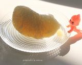 晩白柚にヨーグルトと蜂蜜～美味組み合わせ作り方2写真