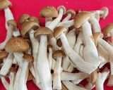 フライパンで豚肉とゴボウの柳川風鍋作り方5写真