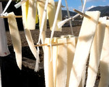 冬のやみつき常備菜✨はりはり漬け作り方4写真