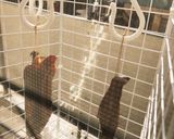 冬の味覚♪醤油肉作り方3写真