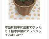 材料4つ♡簡単ザクザクチョコチーズケーキ作り方10写真