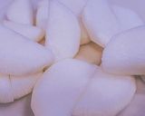 65℃ しっとり いかと大根の煮物作り方1写真